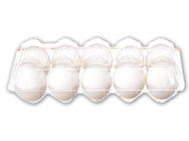 �����������������