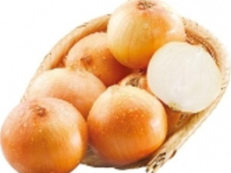 �����������������