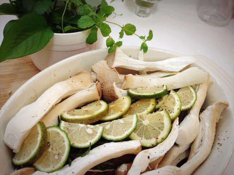 ��ݿ����ŵ�����