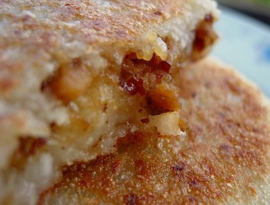 ݩ����������