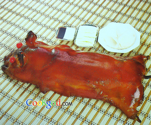 ��¯������������