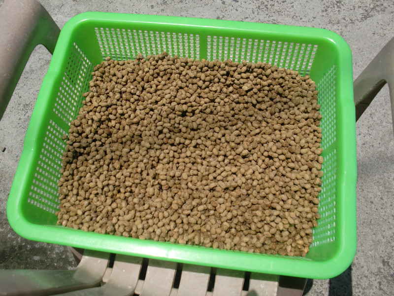 �������ǳ���~�ͼһƶ���������