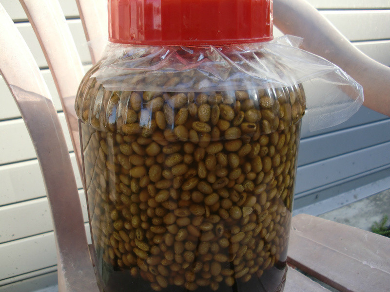 �������ǳ���~�ͼһƶ���������