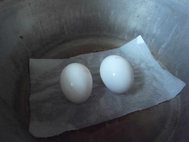 ��ζ���ӳ���֮�������׵�ɳ��������~������