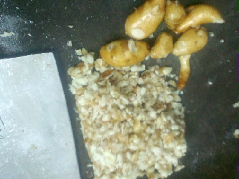 ɽ��÷�ɿ��������