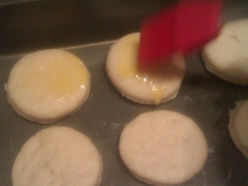 �������Scone˾������������