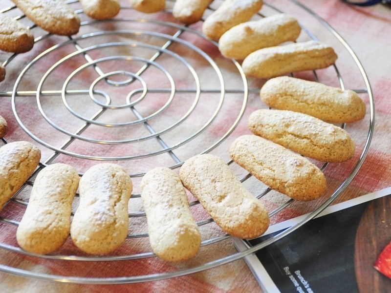 �������Ų��������衣��������ָ���ɵ�����