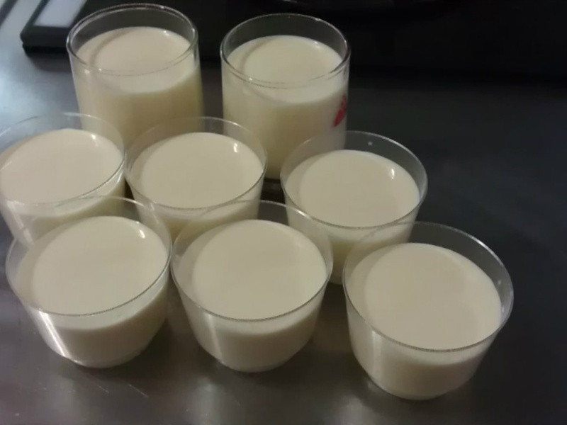 ������������������ţ�̲���������