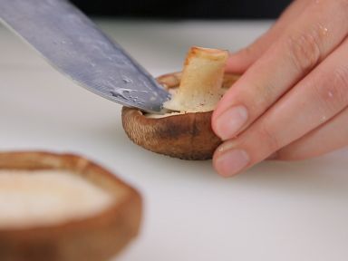 �㹽��̢������