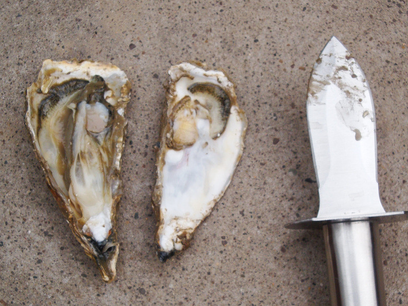 ̨�����м������