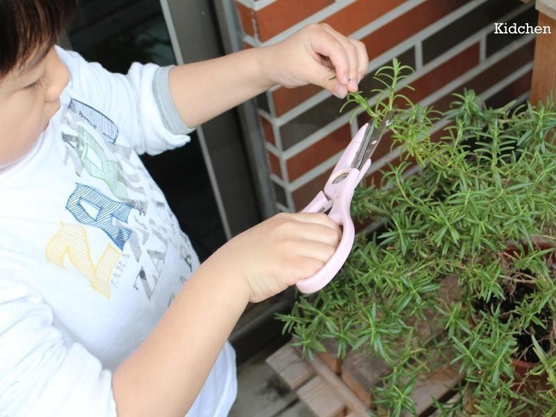 ������ͣ��㿾AB�� (Asparagus«��Bacon�����������