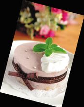 �ǿ�ʽ֥ʿ���������