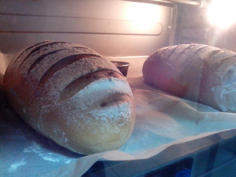 *�����ǹ�Բ���ŷ����*������