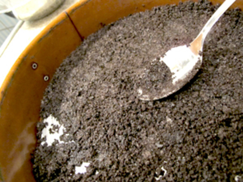 OREO���ҵ��� [�޵� �⿾]������