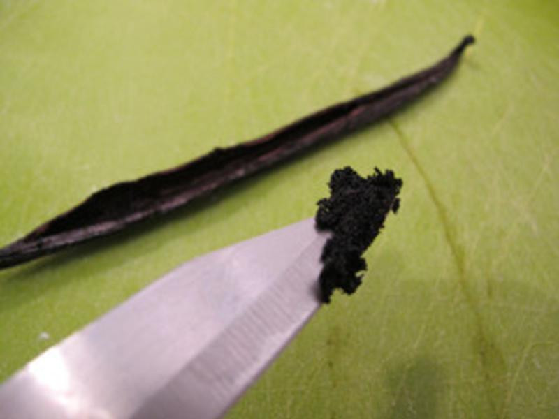 ��ɯ��ʷ���� ��ݰ����������