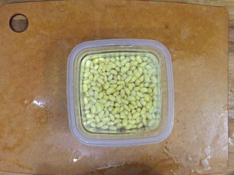 ���鼦��������