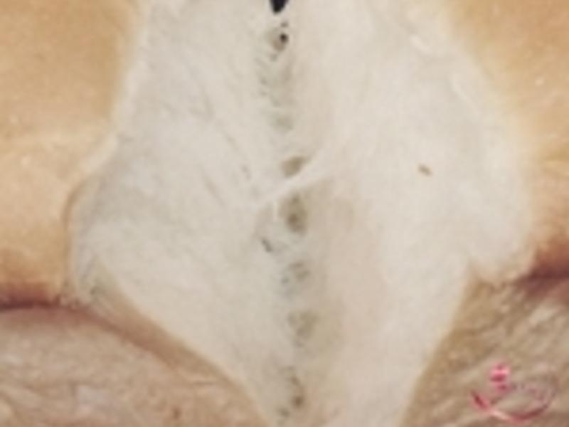 ������˾������