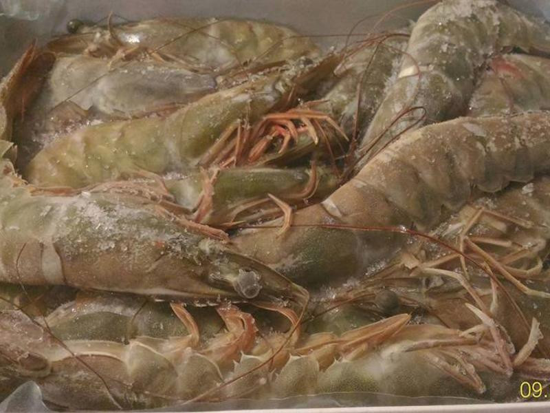 �����Οh��Ϻ������