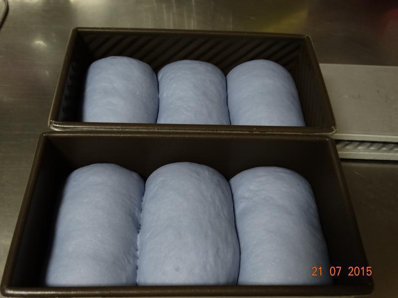 ����˫ݮ��˾������