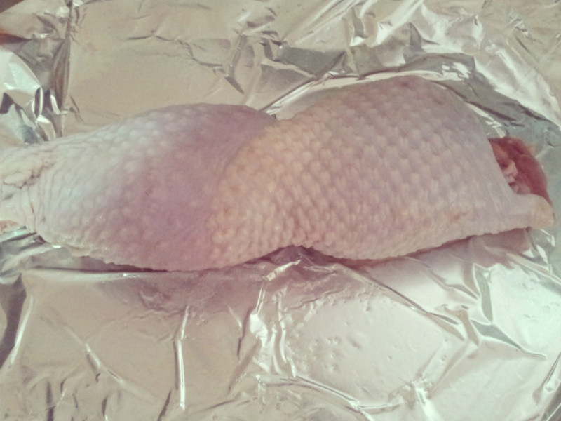 �� ���˿ͺ����� �� ����������