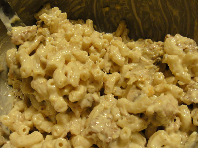 ���Ϳ�ͨ�ķ� Macaroni au gratin������