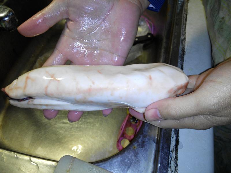 ������������������