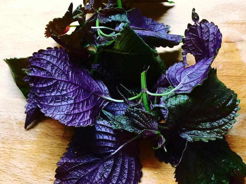 ���պ浰������