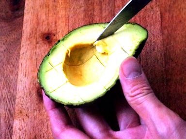 ţ�͹���������