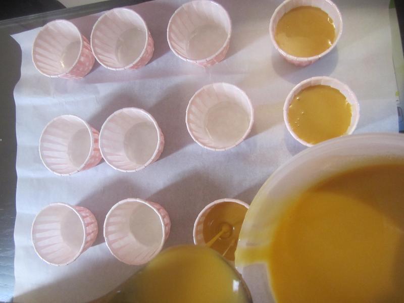 �䳲����_ӥ�����̵�����