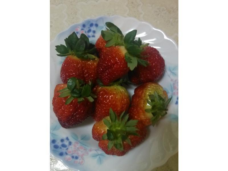 ���ƀ�����̡�ӥ�����̵�����