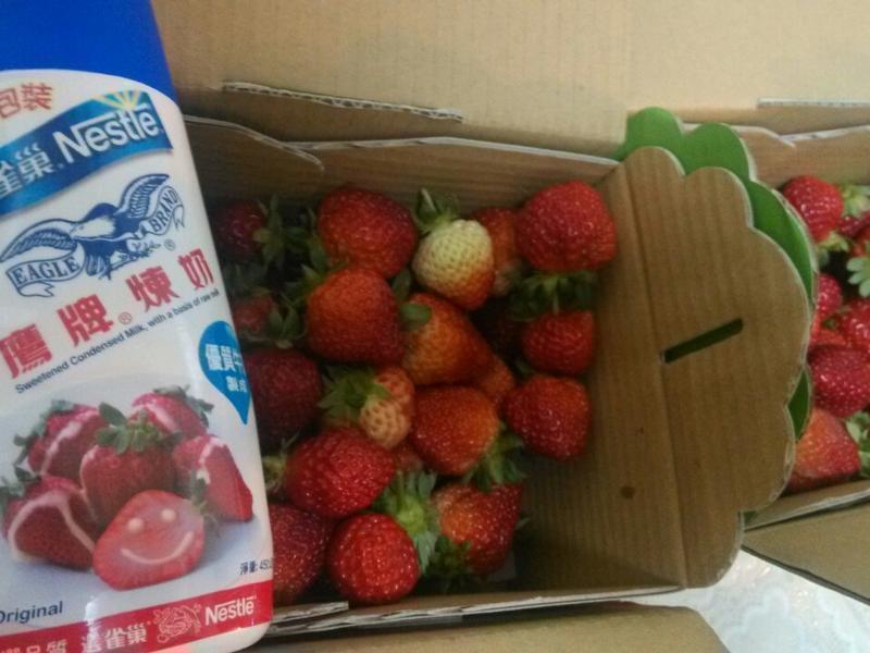 ���ƀ�����̡�ӥ�����̵�����