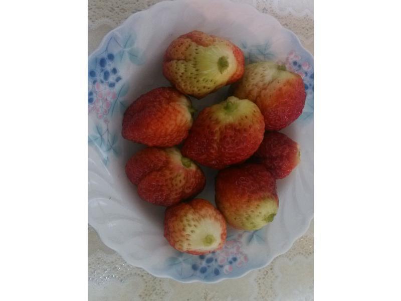 ���ƀ�����̡�ӥ�����̵�����