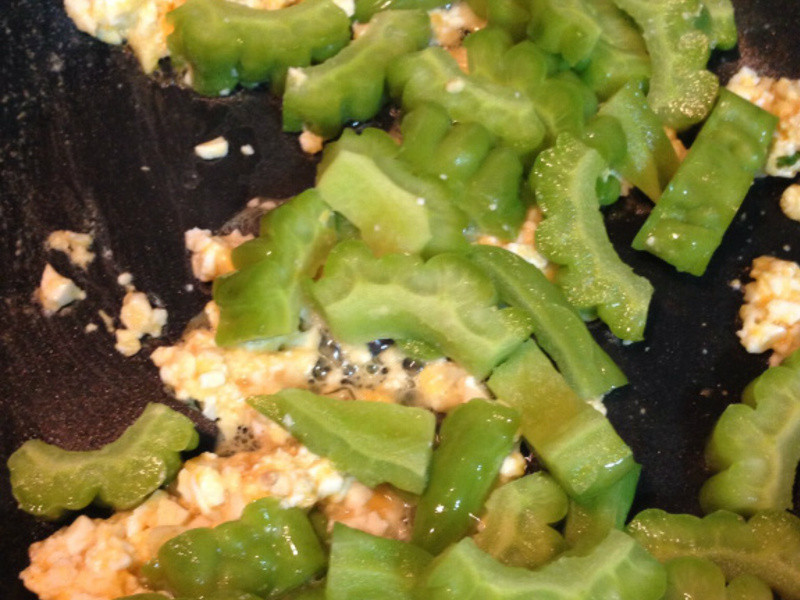 Vanessa������-�̵���ϵ�����