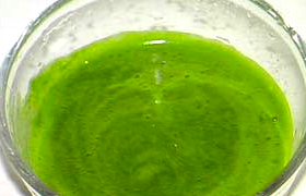 ��Ҷ֭������