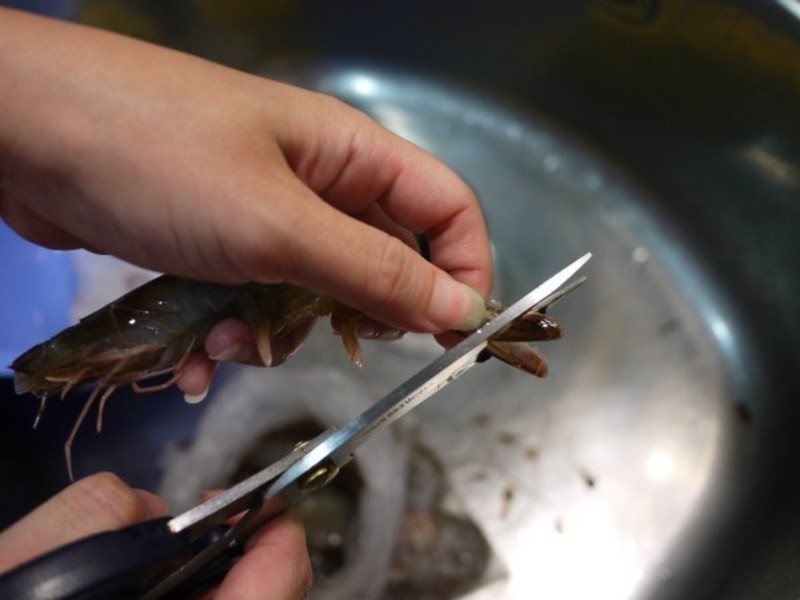 ����������-����Ϻ������