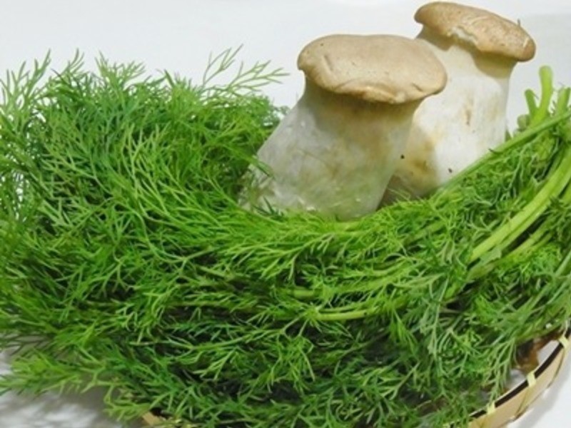 �����Ү��������Ӱ�����С����Ũ��������