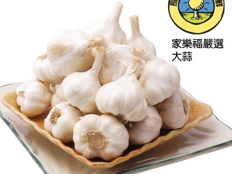 ��ʽ����������������