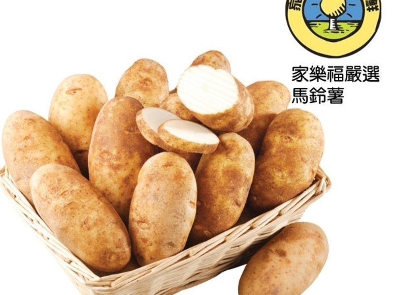 ��ʽ����������������