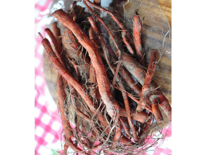 ���κ��������ŵ�����