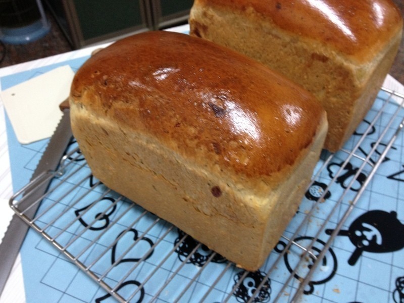 ���������˾������