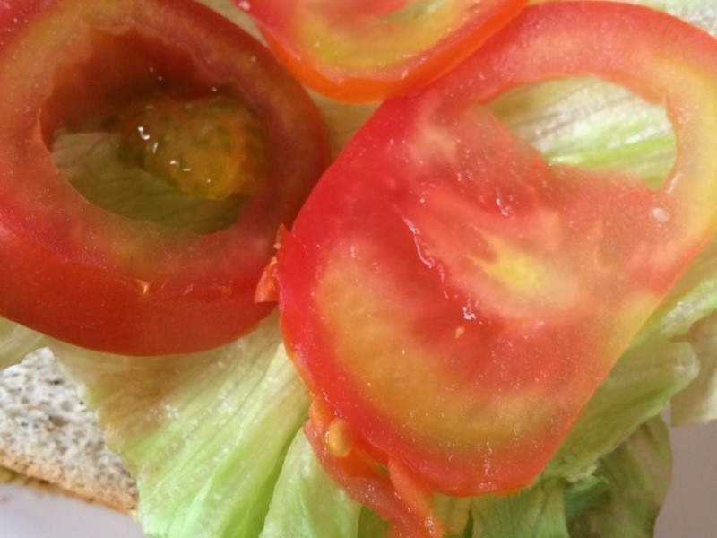 �ȹ�ɳ�����ܻ������ε�����