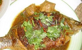 �������������