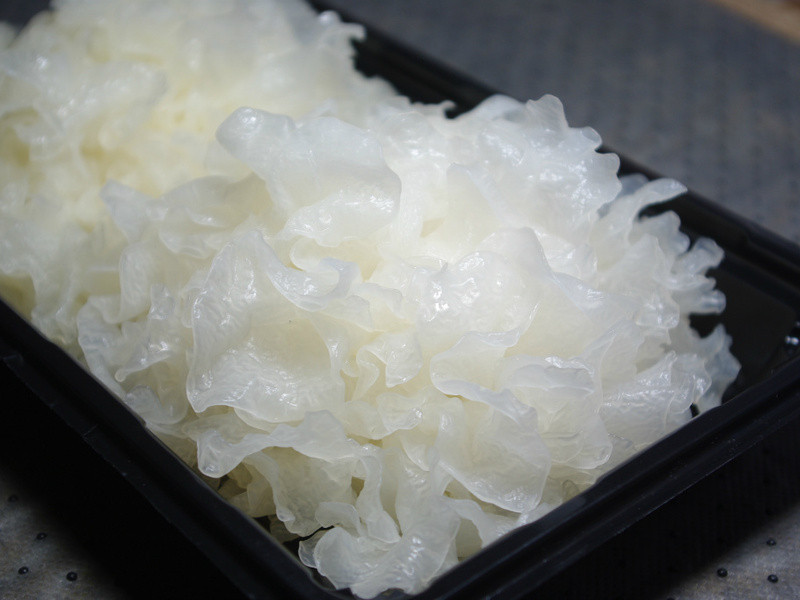 ���������ѵ�����