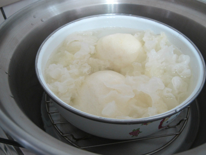 ���������ѵ�����