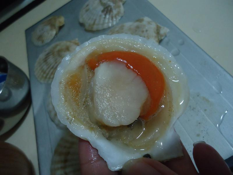 �h���ȱ�������