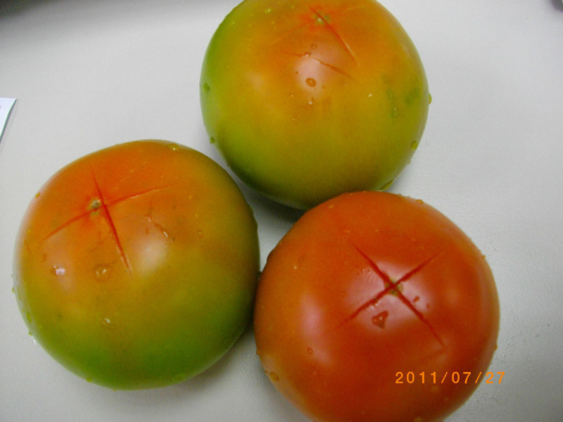 ˮ�����Zެ�ѵ�����