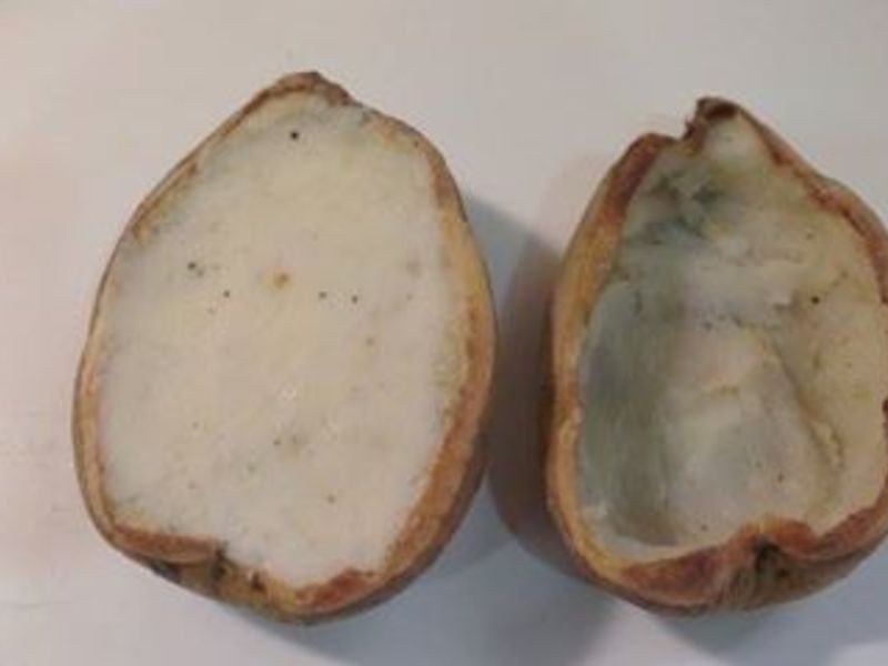 ���ɶ���˼���h���������������