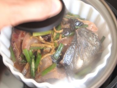 魽������Ƶ�����