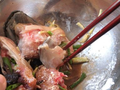 魽������Ƶ�����