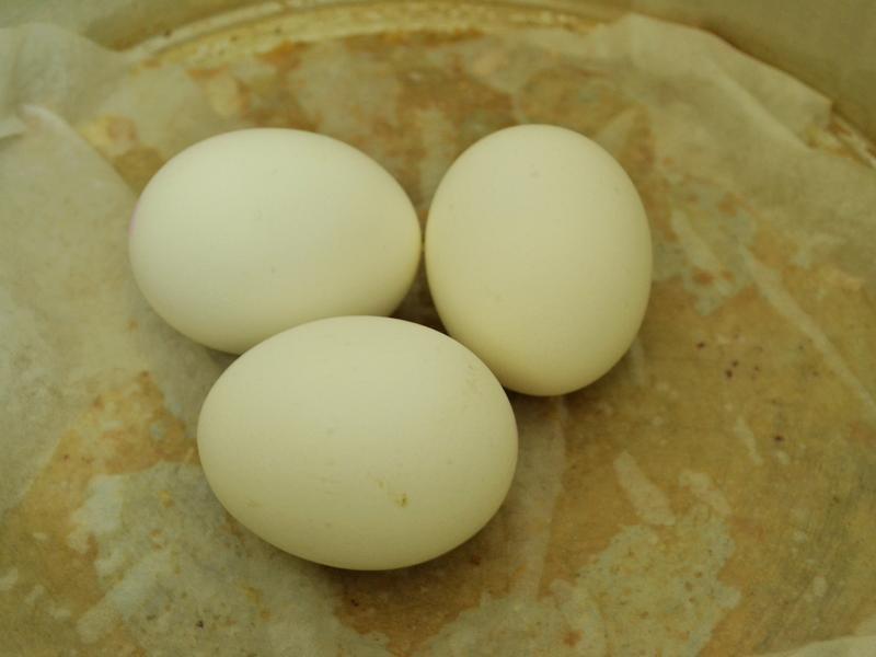 �������ϵ�*�����·������ָ����������������